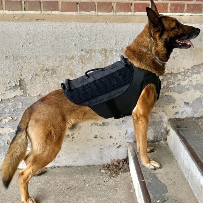 Is There Tactical Gear For Dogs? 9 some dog harness offer ballistic protection up to level 3A