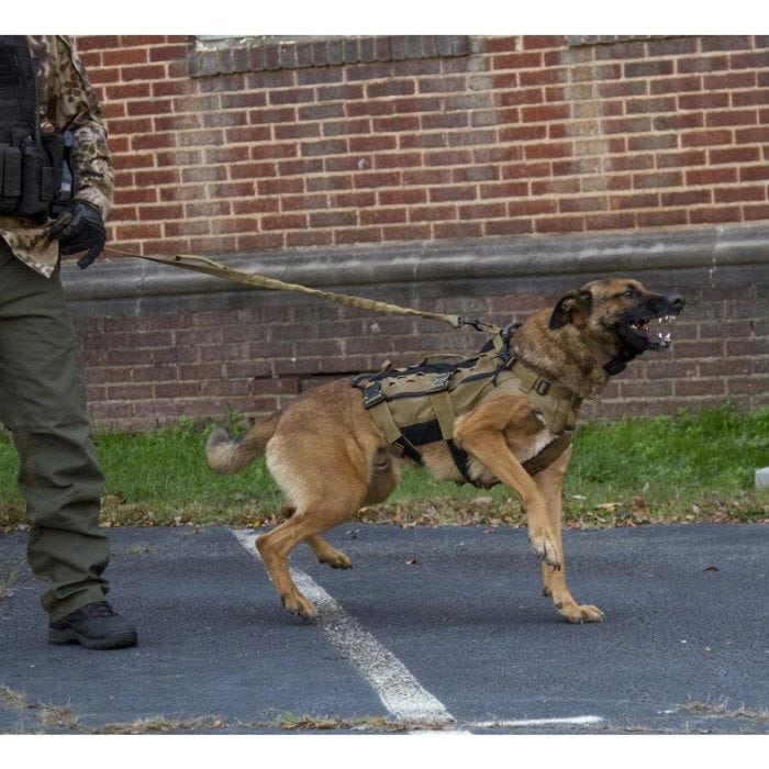 Is There Tactical Gear For Dogs? 11 tactical leads are build using high quality material making them much stronger than your typical leads and leashes