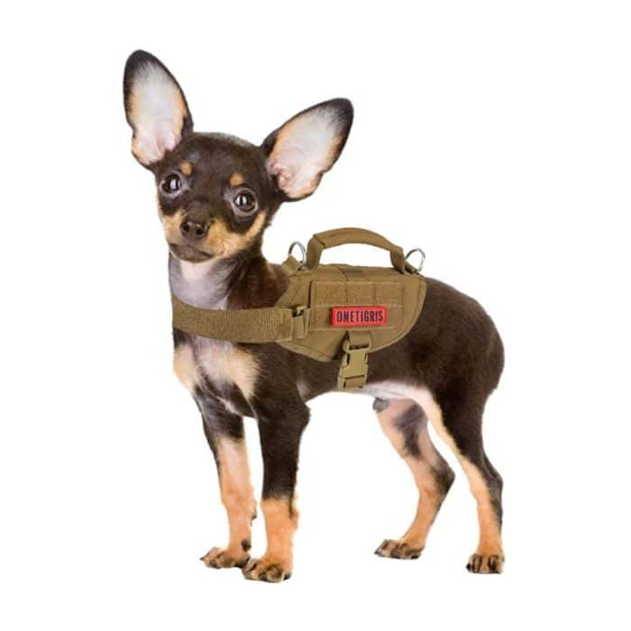 Is There Tactical Gear For Dogs? 13 tg gbx08 xxs 1 1