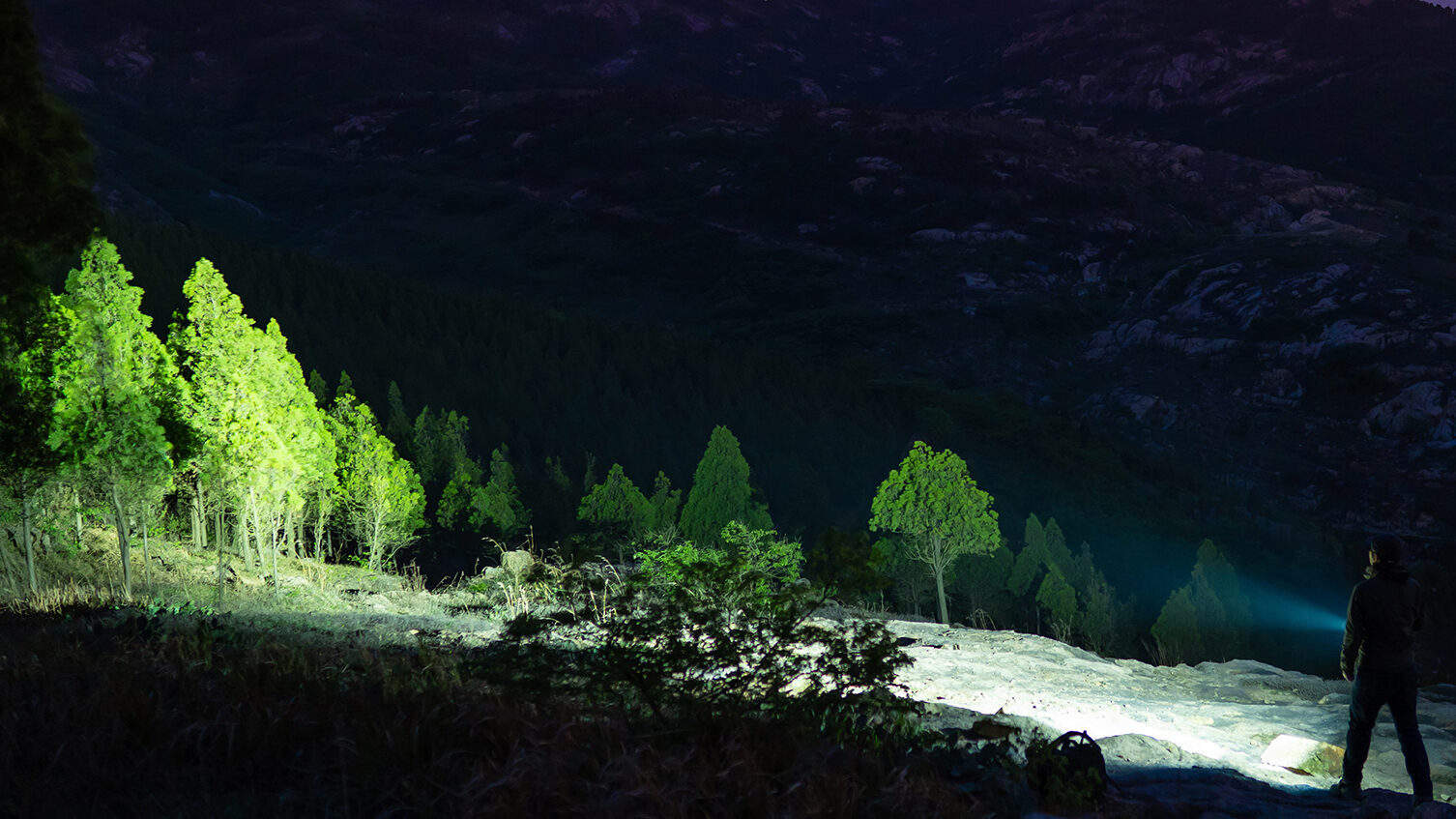 The Best Tactical Fenix Flashlights: Bring Light To The Dark 9 A powerful light litghing up the forest